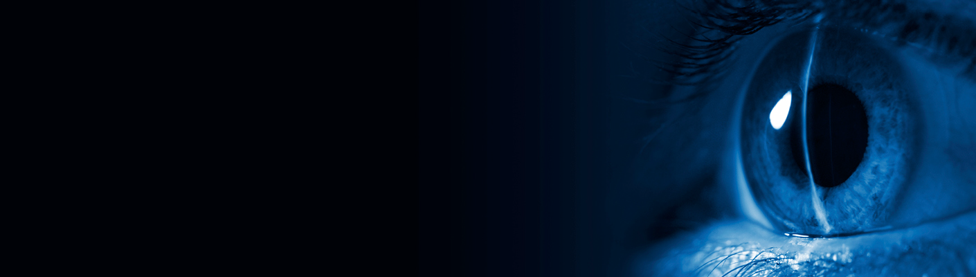 Attendees